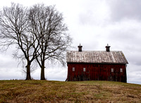 Trees and Barn